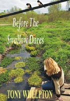 Before the Swallow Dares